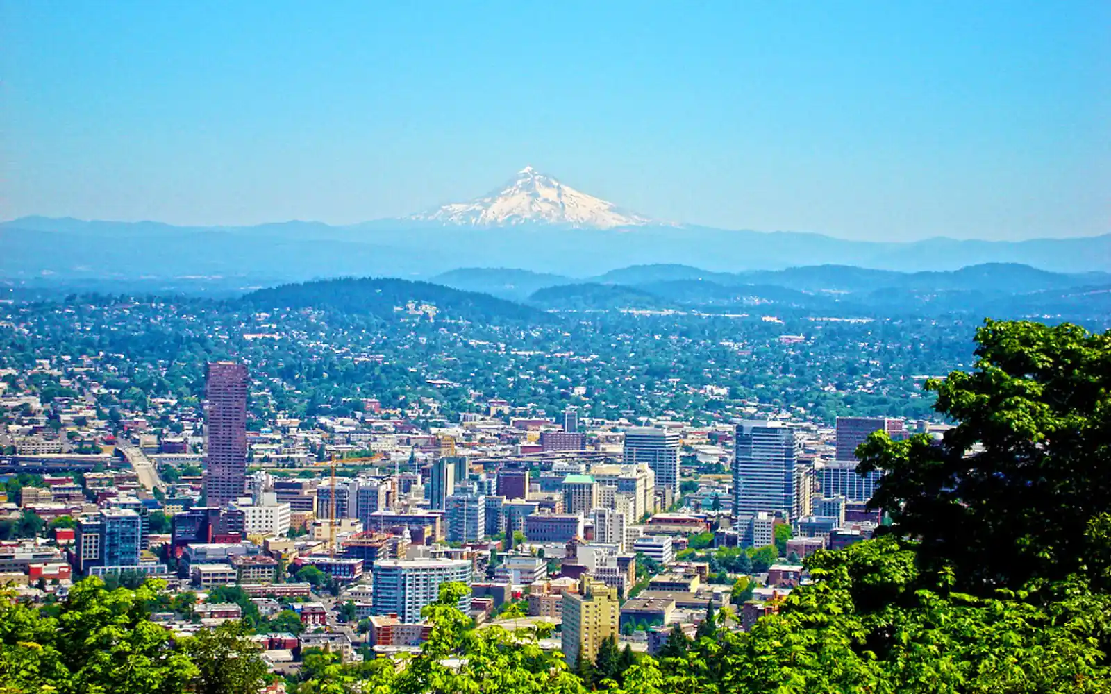 Portland skyline