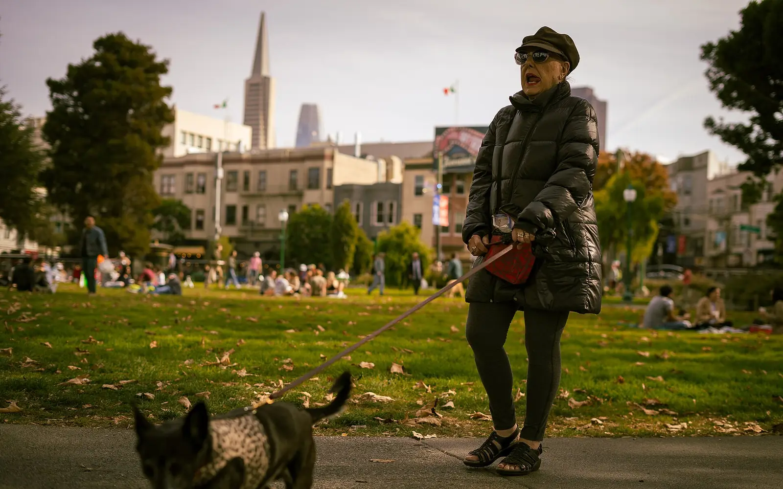 A person in a quilted coat walking a speckled cattle dog across a park lawn strewn with fallen leaves