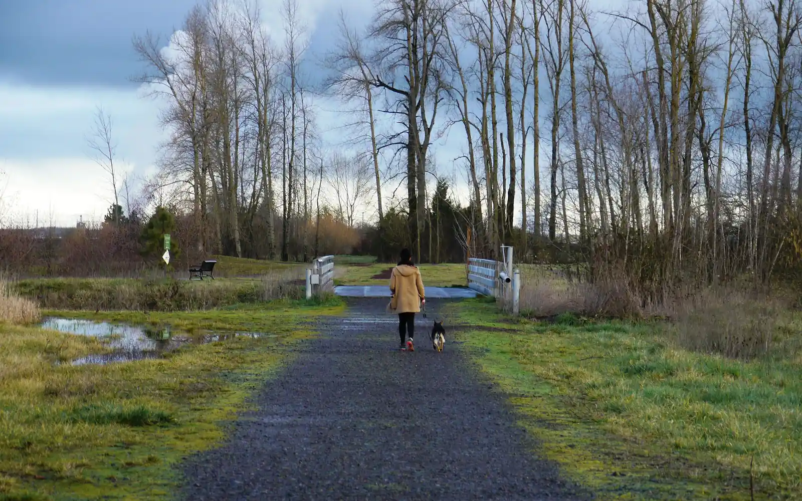 A walker in a mustard coat and a small black-and-white dog on a gravel path between bare trees and flooded grass